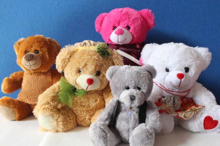 Seinäjoen seurakunnan nallevaalien ehdokkaat Herra Kesäheinä, Hilma, Kassu, Suvi Hattara ja Toivo Reinola