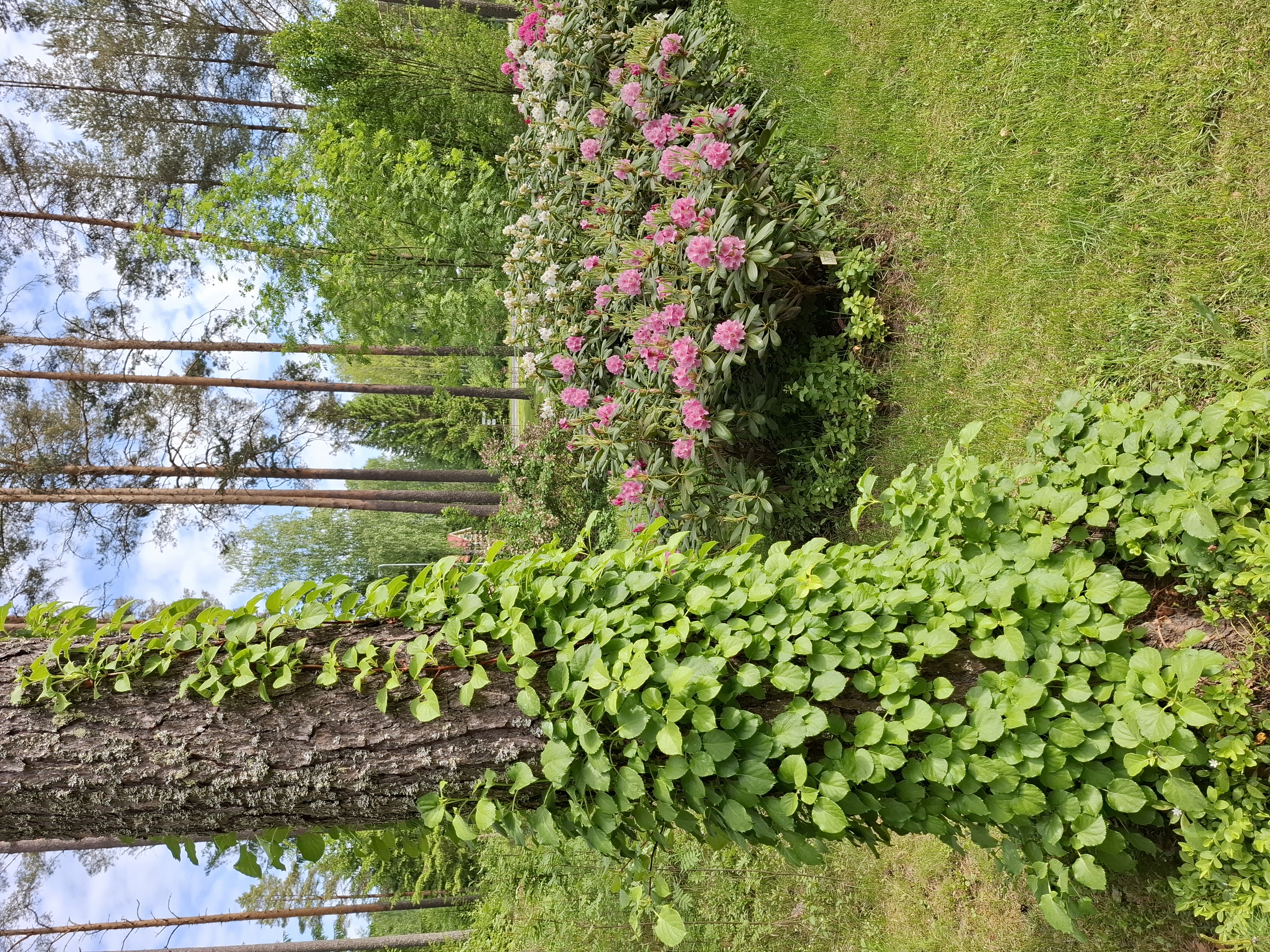 20260601_111130.jpg