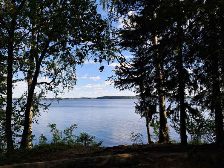Näkymä Ähtärijärvelle Honkiniemen leirikeskuksen kodalta
